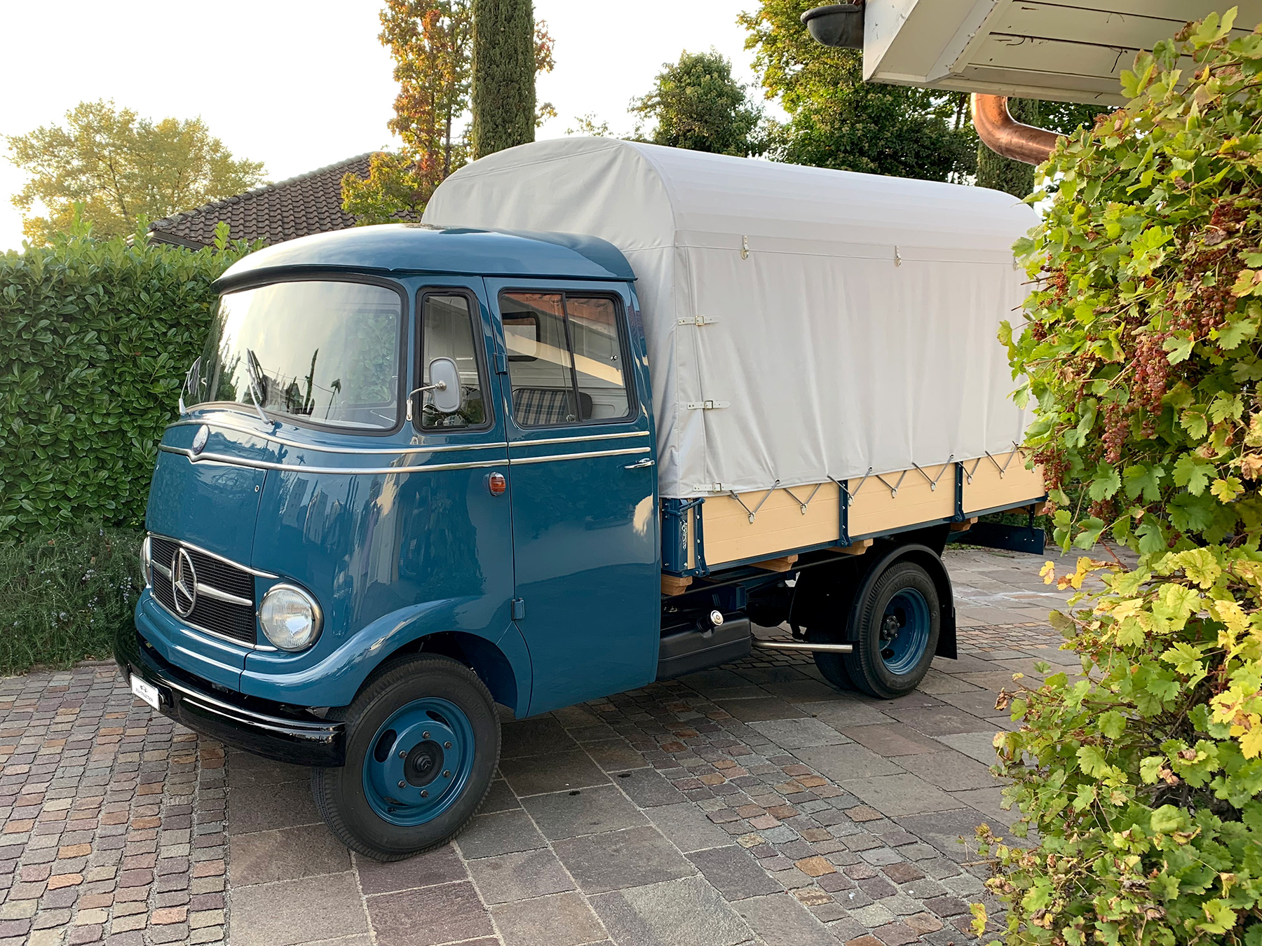 CARS Iseli Collection